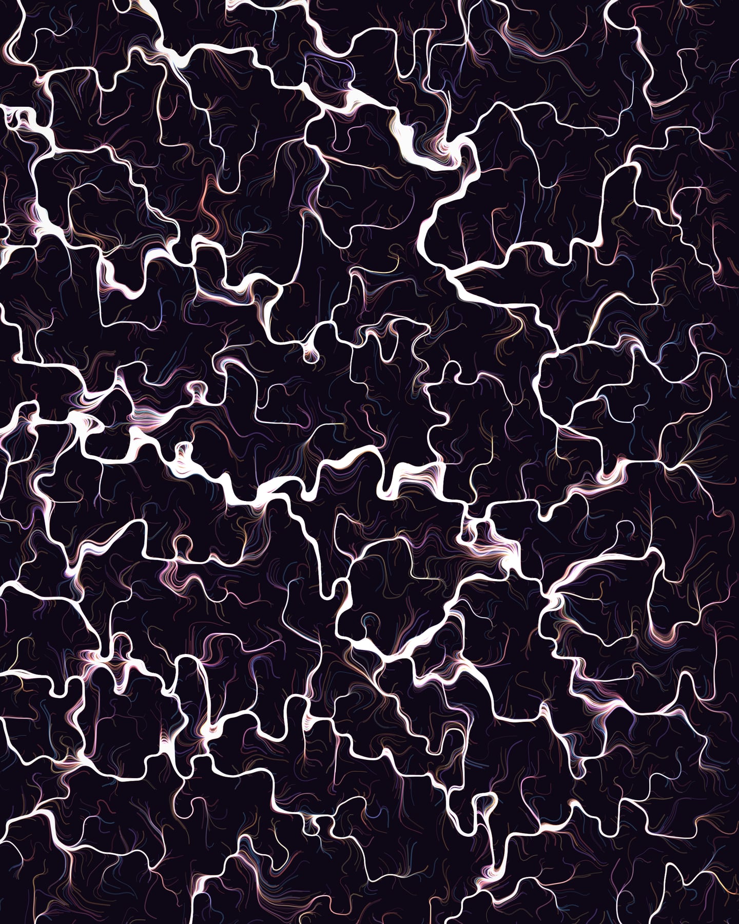 Flow Field — 흐름을 따라 흐른 수천 개의 선