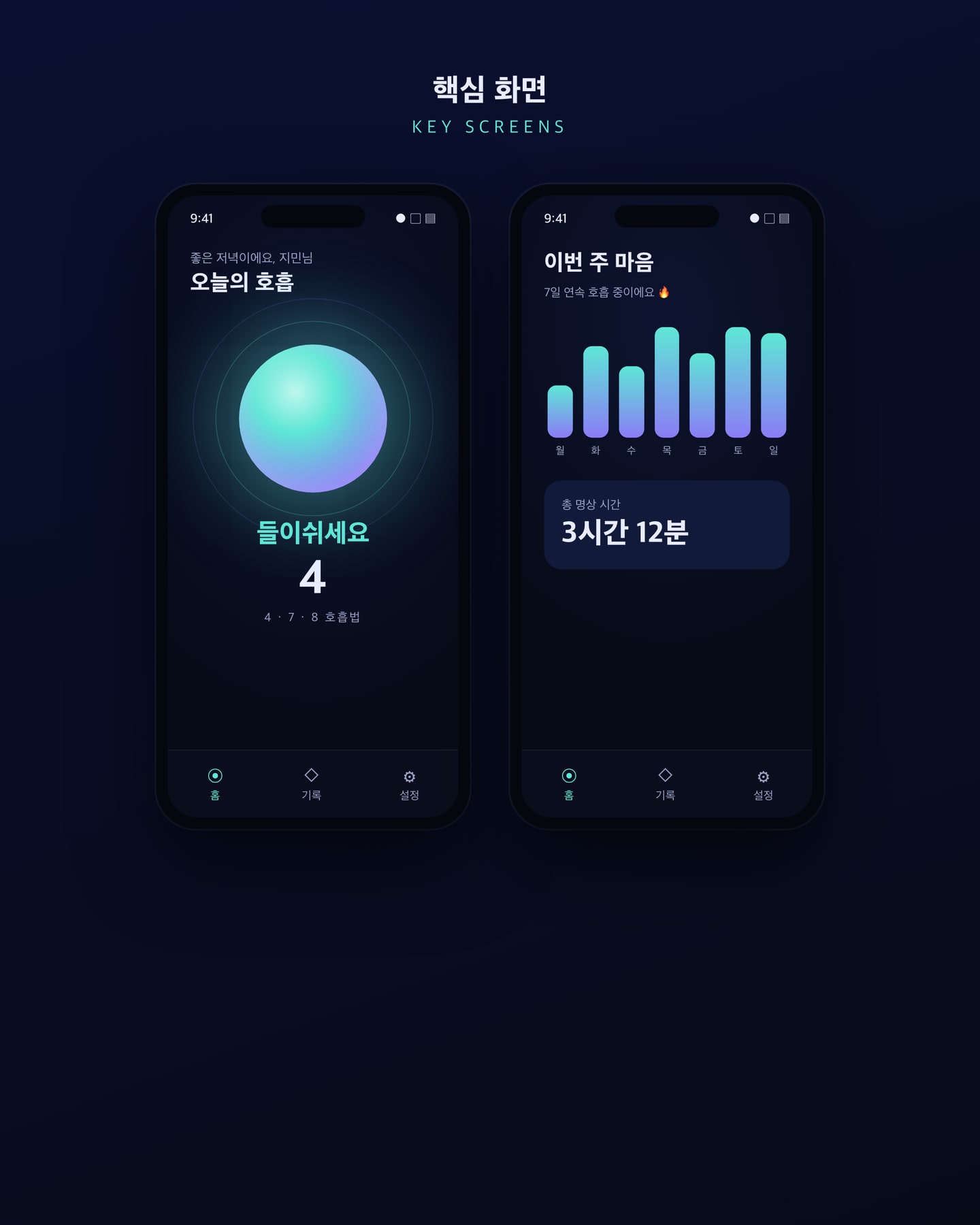 홈·기록 화면